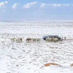 சவூதி அரேபியாவில் பெய்த பனிப்பொழிவு: ஒரு அபாய எச்சரிக்கை!