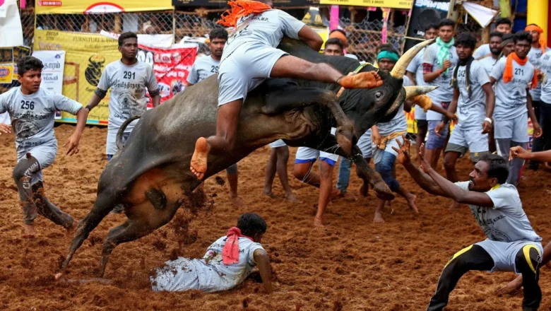 தமிழ்நாட்டின் முதல் ஜல்லிக்கட்டு போட்டி தச்சங்குறிச்சியில் கோலாகல தொடக்கம்!