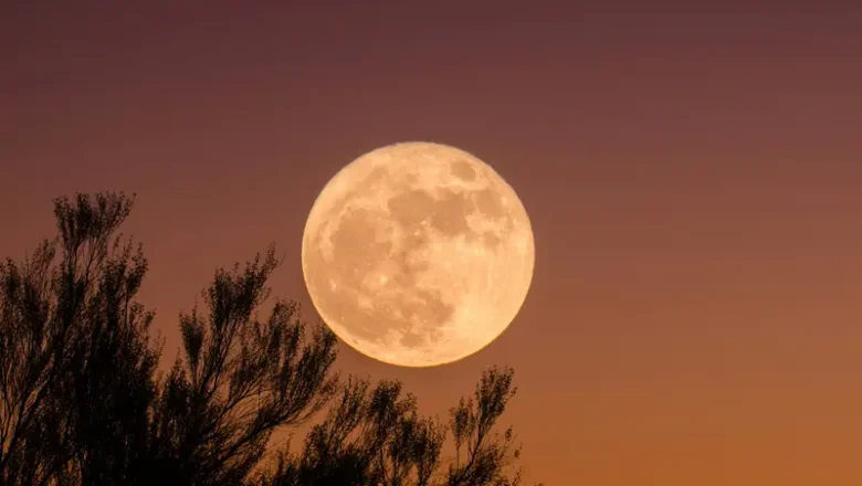 ஜனவரி 2026 ஓநாய் சூப்பர் மூன் (Wolf Super Moon) : இது எந்த நேரத்தில் நிகழும்? இந்தியாவில் இதை எங்கு பார்க்கலாம்?