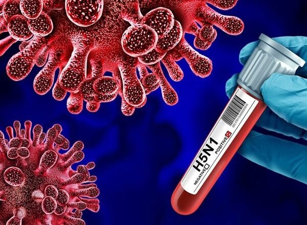 ஆஸ்திரேலியா சிட்னியில் முதல் H5N1 பறவைக் காய்ச்சல் பாதிப்பு உறுதி!