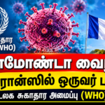 பிரான்சில் முதல் முறையாக மனிதர்களுக்கு ஷமோண்டா வைரஸ் தொற்று உறுதி – WHO